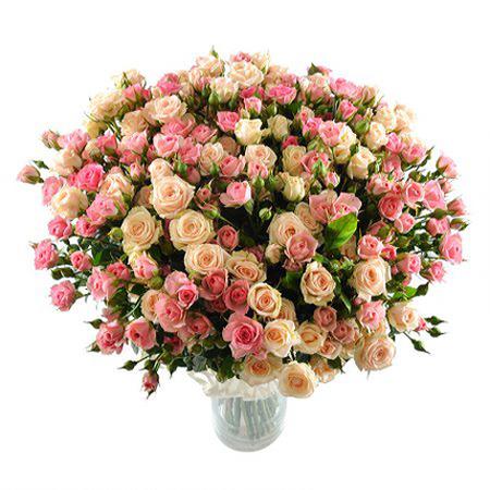 Букет из 39 кустовых роз «Сама нежность»