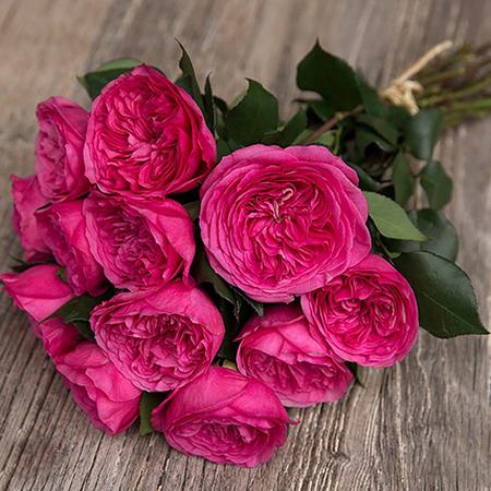 Букет из розовых пионовидных роз «Baronesse»