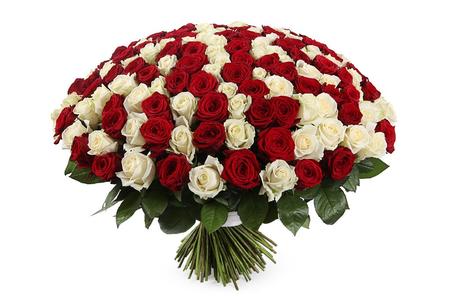 Букет 201 роза: красная + белая 60 см